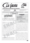 La Gaceta N° 36,255 del 15 de junio de 2023